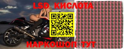 ешки Будённовск