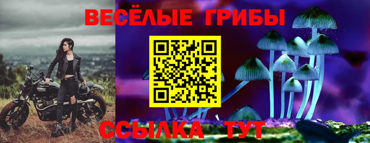 Галлюциногенные грибы MAGIC MUSHROOMS Подольск